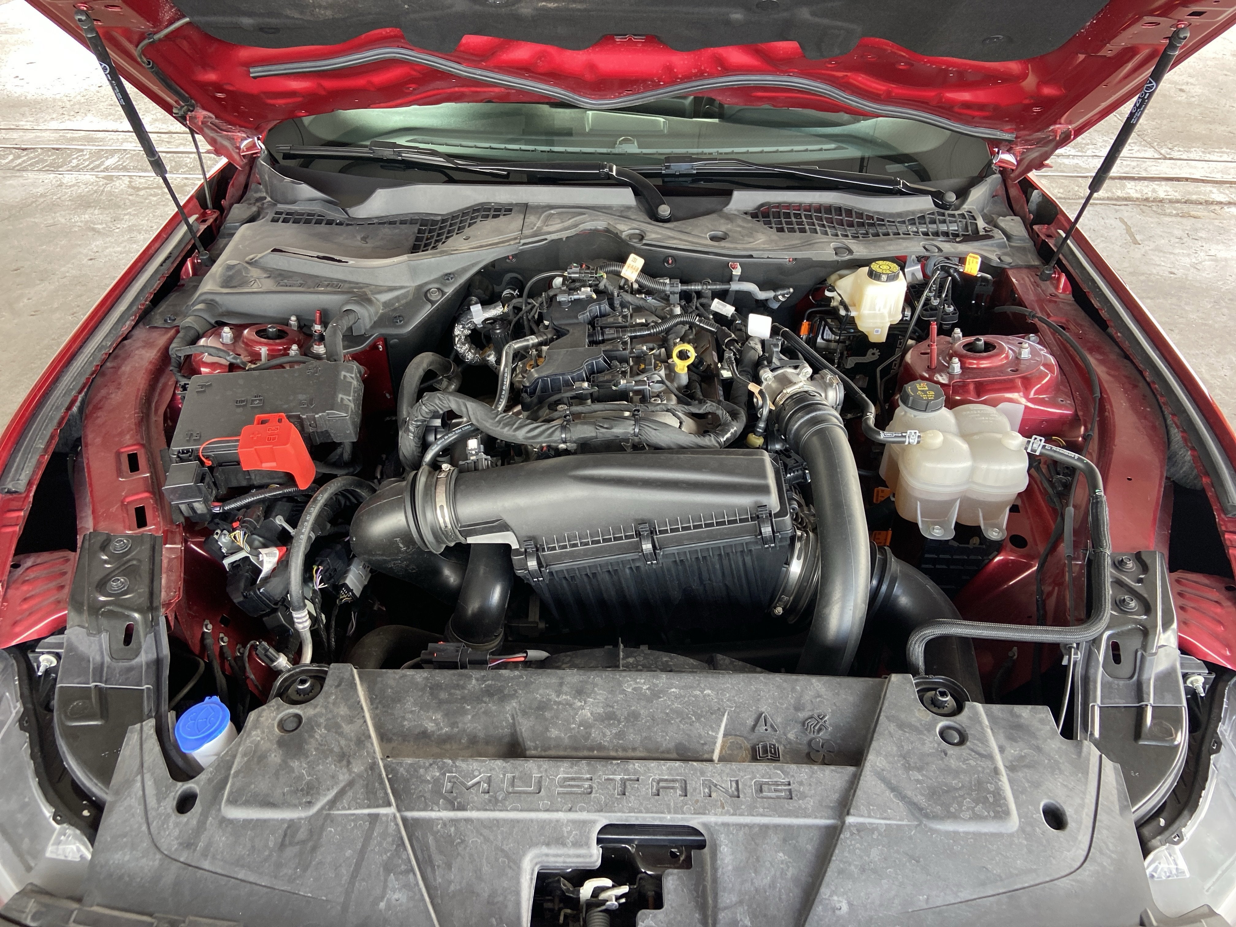2024 Ford Mustang EcoBoost