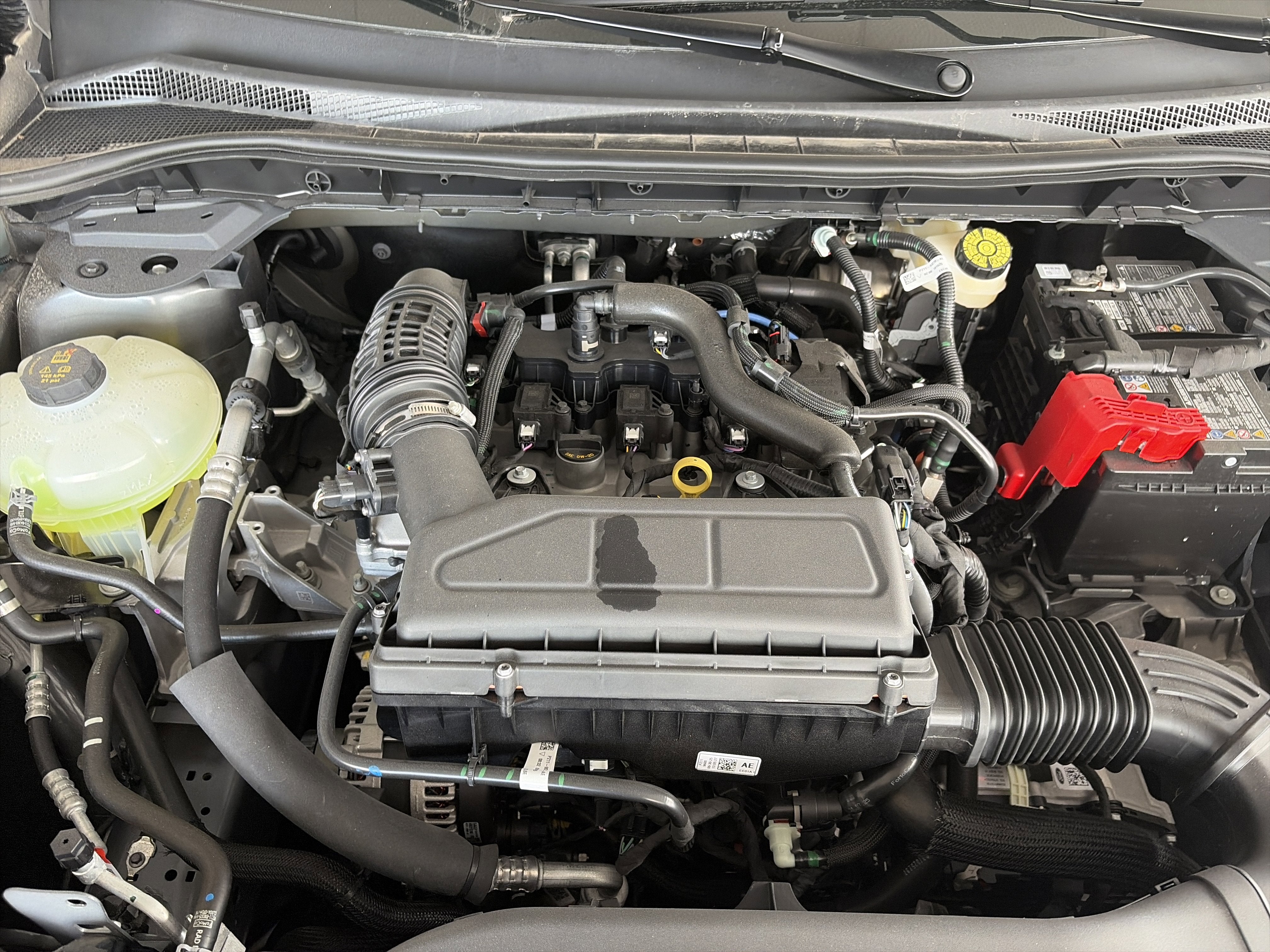 2026 Ford Escape ST-Line