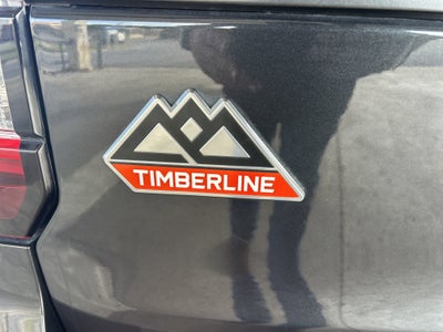 2022 Ford Expedition Timberline