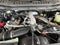 2026 Ford Super Duty F-250 SRW F-250® Platinum®