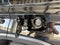 2025 Toyota Sequoia Limited